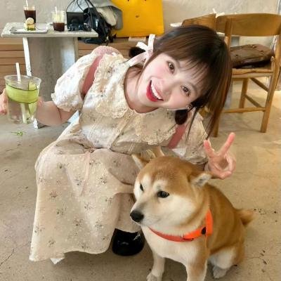 猪与珠